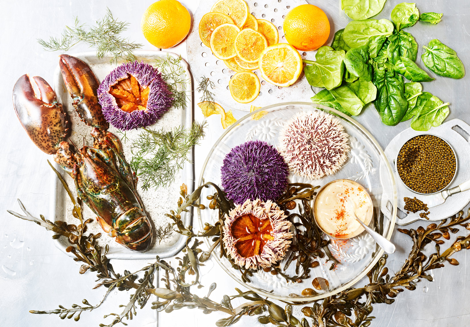 seafood_seeigel_urchins_lobster_caviar_foodstyling-gruenewald.de